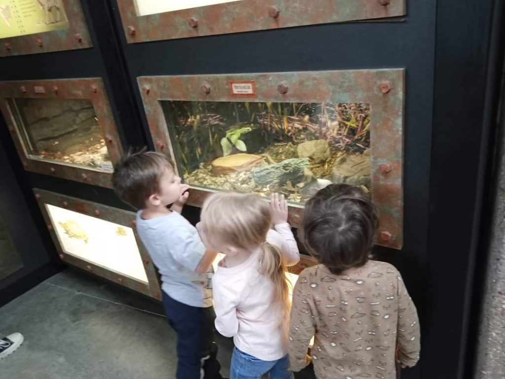 bday6 Charlene Hansen