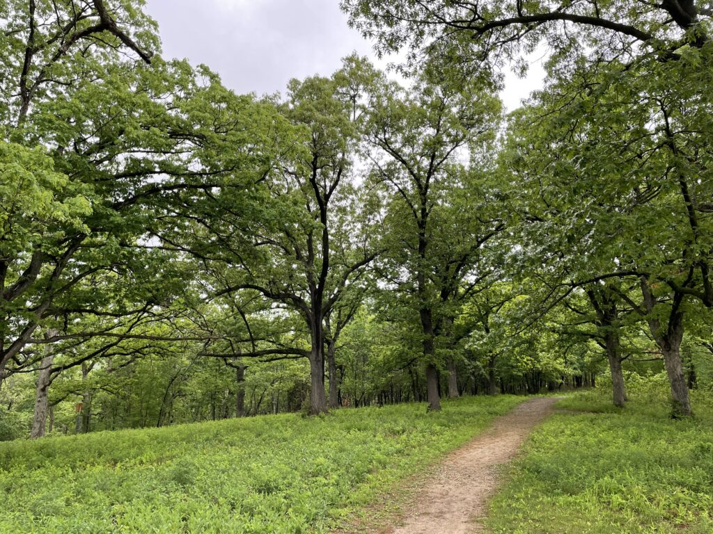 Fox Hollow Trail - Lakeside Nature Center